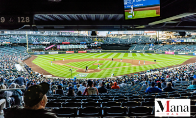 mlb66